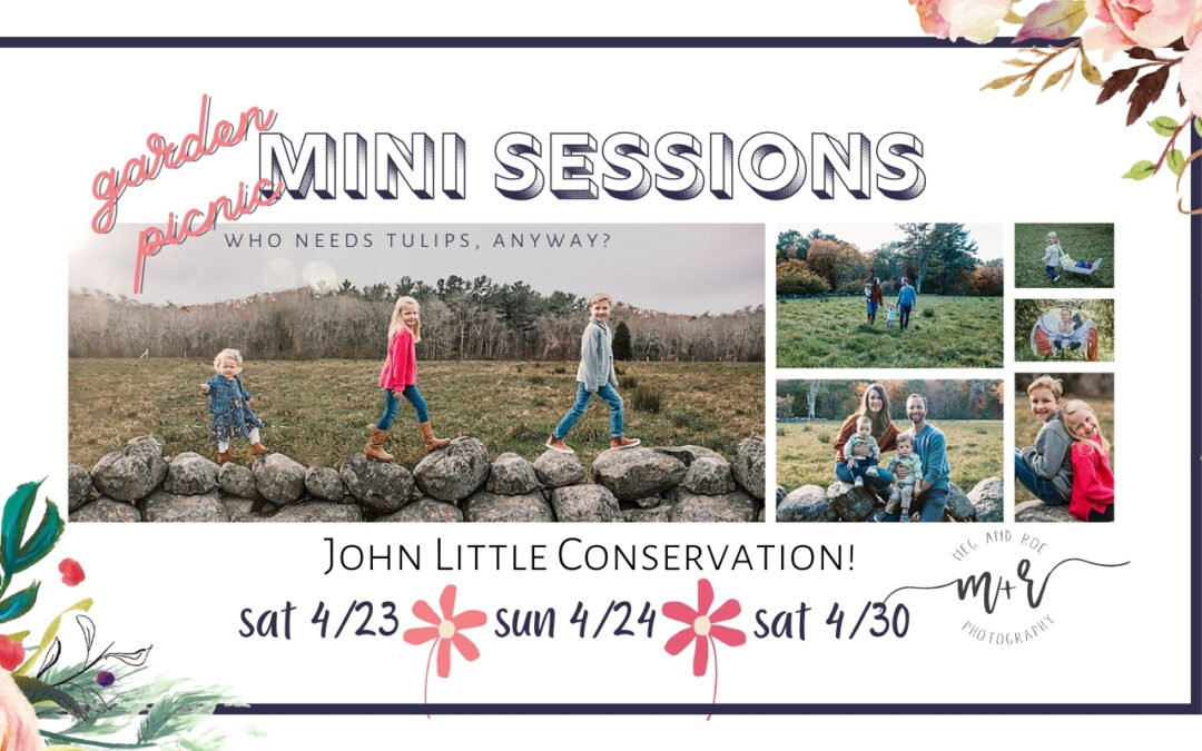 Spring Mini Sessions 2022